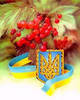 A Ukrainian Donation