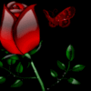 A Special Rose♥For A Lovely U