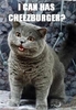 Lolcat