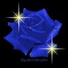 Blue Rose