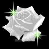 white rose