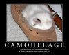 Foolproof Camouflage