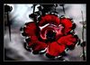 blood flower