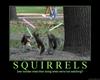 Squirrel Secrets