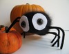 Fluffy Spider