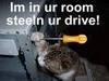 Hard drive cat burgler