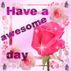 Have a awesome day