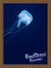 Jelly Fish Poster