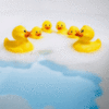 Rubber Duckie