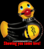 Bondage Duck- My kind of duck!