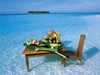 A dinner for two in paradise