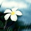 The sound of silence•°✿