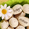 •••Happy Easter!•••