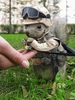 squirrel protection