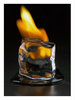 a flaming icecube contradiction