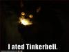 I ated Tinkerbell