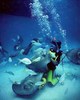 Taken Deep Sea Diving