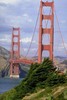 A Trip to Golden Gate Park