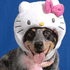 Hello Kitty Helmet