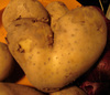 Heart-shaped potato