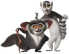 *Happy-Birthday- Lemurs* ..:-D