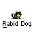 Rabid Dog