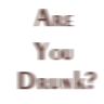 Are you drunk?