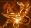 Star Phoenix 