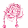 lovely pinky rose ღ 