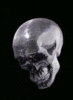 disco skull