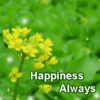 ♥happiness always♥