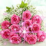pink roses for you