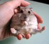 a Handful of Cuteness!