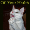 Health Of my Owner