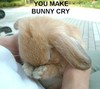 u make bunny cry