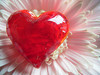 ~**heartflower** ~