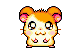 a lil hamster
