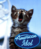 Your next american Idol :o)