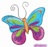 A Butterfly!