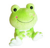 Smile Frog