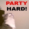Party Puss