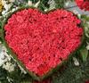 Heart of 99 red roses