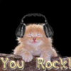 you rock cat