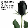A dream..