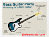 Anatomy of the Bass Guitar