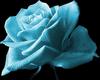 Blue rose