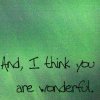 I Think You Are Wonderful..