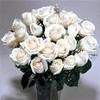 White rose for my lovely one