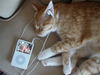 iPod for your pet!!!