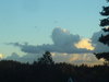 A cloud shaped as a dog